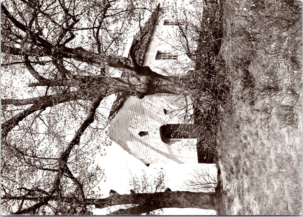 [F1913] Dessel - "Kapel Heide" - Kapel in de heide omgeven door bomen