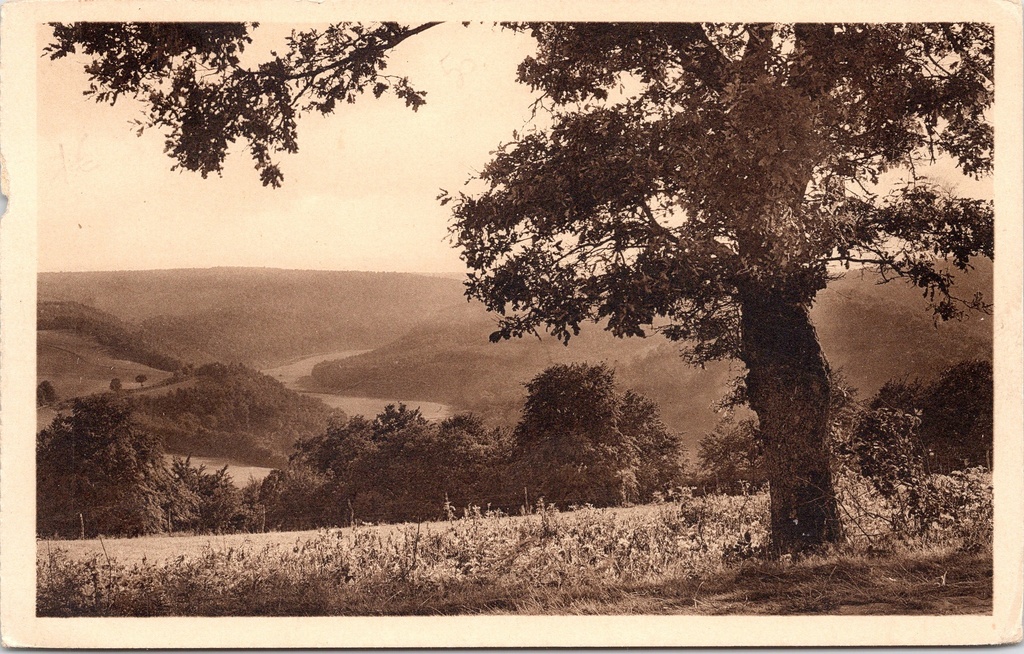 Bouillon - "Vue sur la Semois" - Panoramisch zicht op de Semois vallei vanuit Auby
