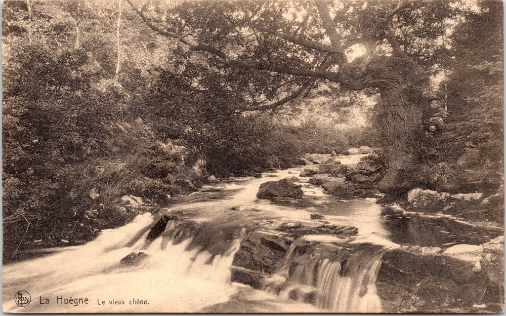 [G1801] Jalhay - "La Hoëgne - Le vieux chêne" - De oude eik aan de rivier de Hoëgne