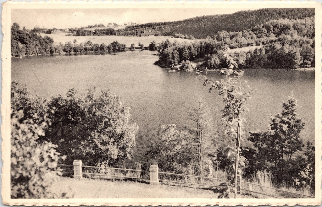 Waimes - "Un coin pittoresque du Lac de Robertville" - Schilderachtig hoekje van het Meer van Robertville