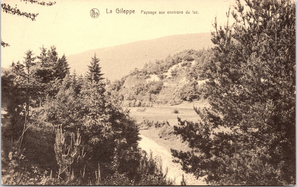 Baelen - "La Gileppe - Paysage aux environs du lac" - Landschap bij het meer van La Gileppe
