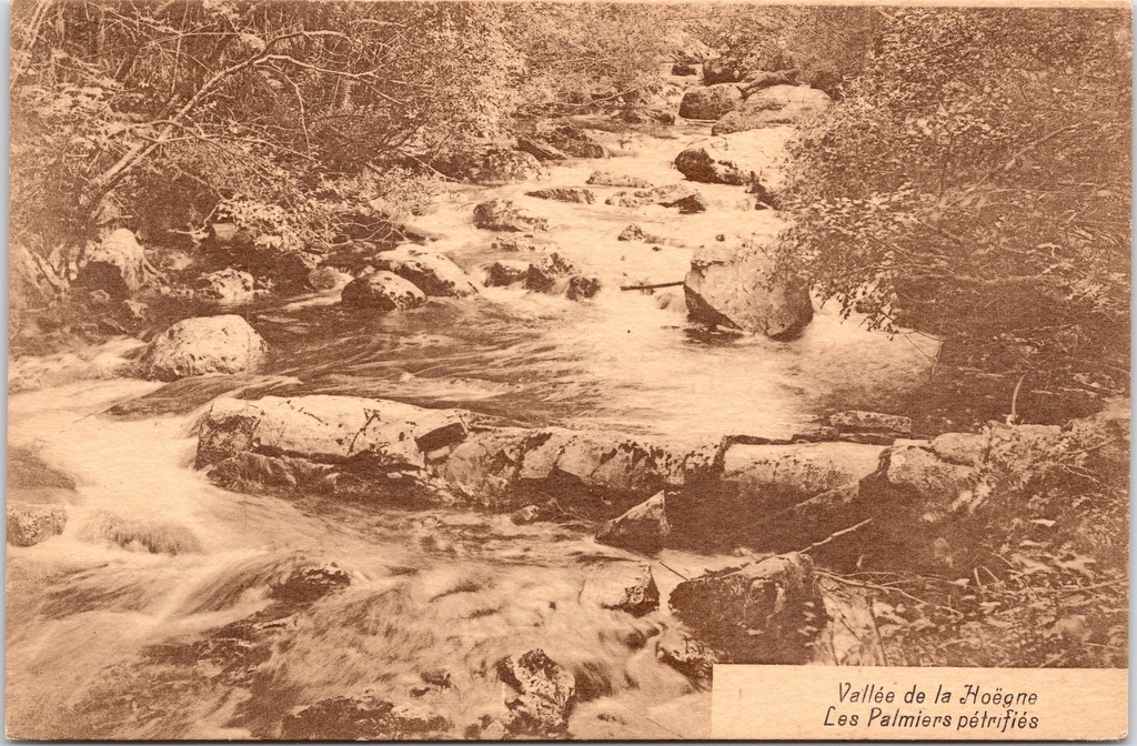[H1961] Jalhay - "Vallée de la Hoëgne - Les Palmiers pétrifiés" - Versteende palmen in het dal van de Hoëgne