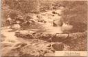 Jalhay - "Vallée de la Hoëgne - Les Palmiers pétrifiés" - Versteende palmen in het dal van de Hoëgne