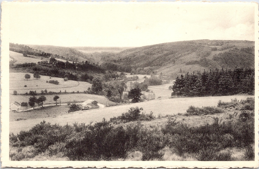 Lierneux - "Vallée Groumont vers la Baraque Fraiture" - Uitzicht op de Groumont-vallei richting Baraque Fraiture