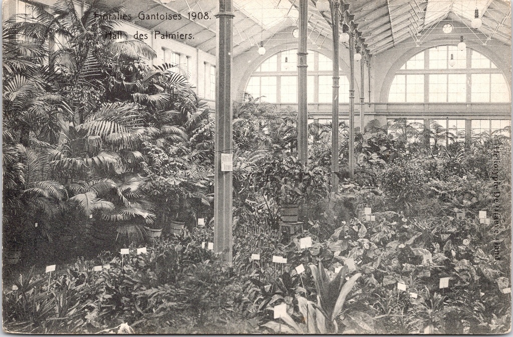 Gent - "Floralies Gantoises 1908 - Hall des Palmiers" - Gentse Floraliën 1908, Palmenhal