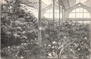 Gent - "Floralies Gantoises 1908 - Hall des Palmiers" - Gentse Floraliën 1908, Palmenhal