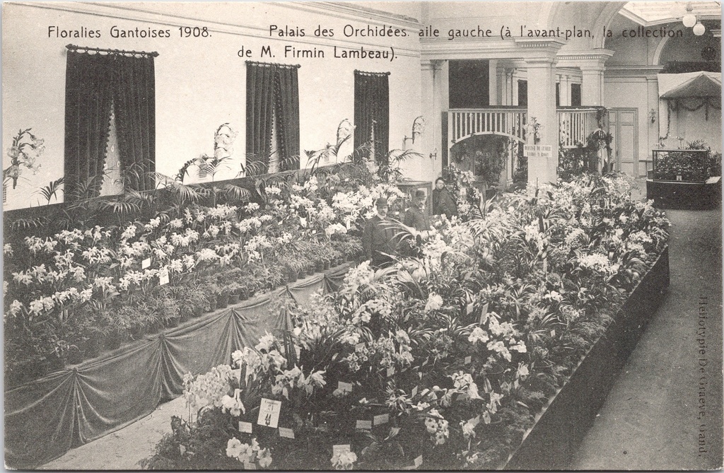 Gent - "Floralies Gantoises 1908 — Palais des Orchidées" - Orchideeënpaleis linkervleugel met collectie Firmin Lambeau