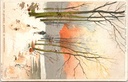 Hoeilaart - "Forêt de Soignes – Étangs de Groenendael" - Vijvers van Groenendael in het Zoniënwoud