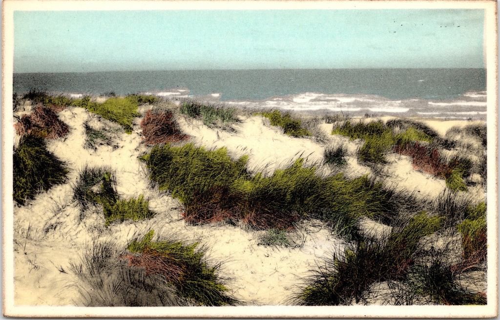 Koksijde - "Les dunes, rempart de la mer" - Duinen en zee, Oostduinkerke