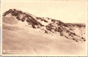 Koksijde - "Une dune succède à l'autre" - Duinen van Oostduinkerke