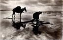 Kust - "Pêcheur de Crevettes" - Garnalenvisser te paard op het strand